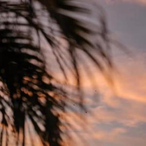 农村村妇真实偷人视频
