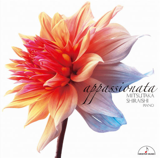 农村村妇真实偷人视频
